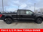 2023 Ford F-150 XLT 6 1/2 Ft Box