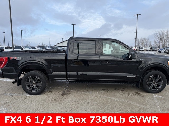 2023 Ford F-150 XLT 6 1/2 Ft Box